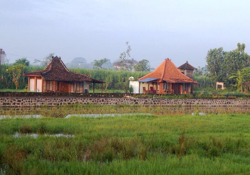 پانسیون Alamanda Family Villas & Pool