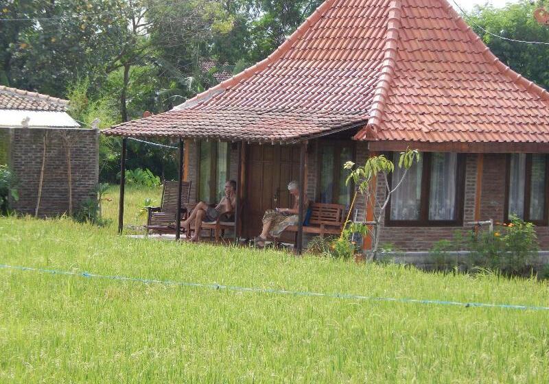 پانسیون Alamanda Family Villas & Pool