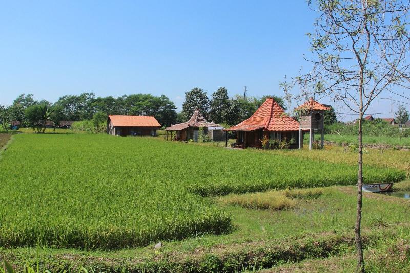 膳宿费 Alamanda Family Villas & Pool