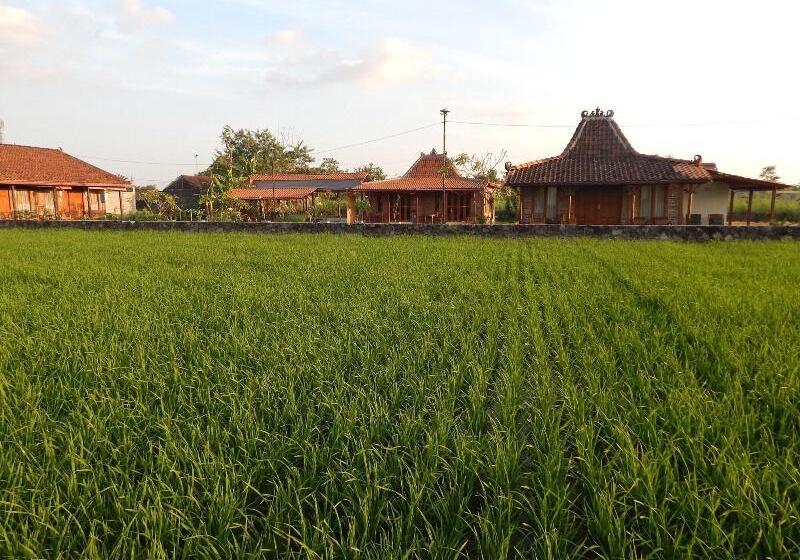 膳宿费 Alamanda Family Villas & Pool