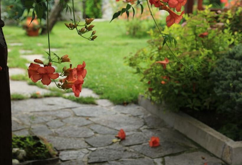 Пансион Iliikova House