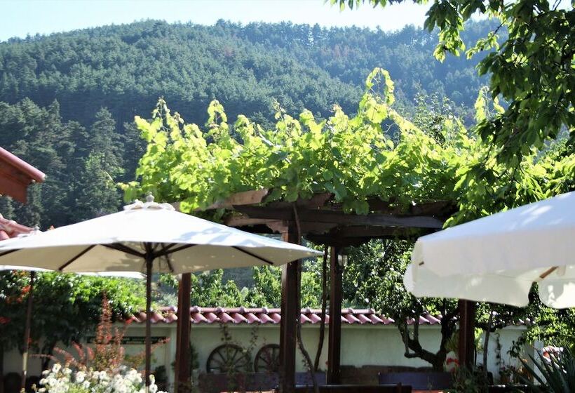 Пансион Iliikova House