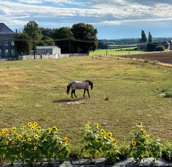 פנסיון Le Chateau De Frankie Spas Saunas