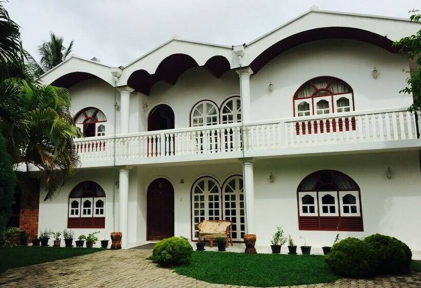 بنسيون New White House