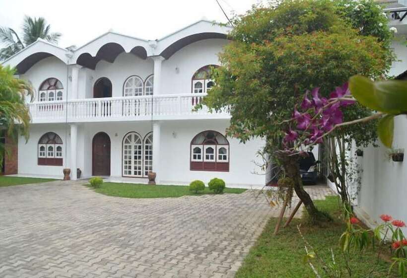 بنسيون New White House