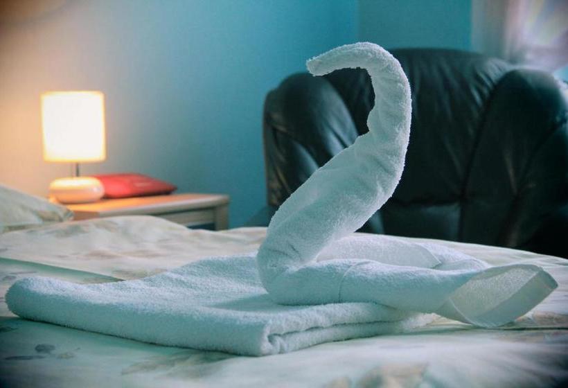 پانسیون City Center