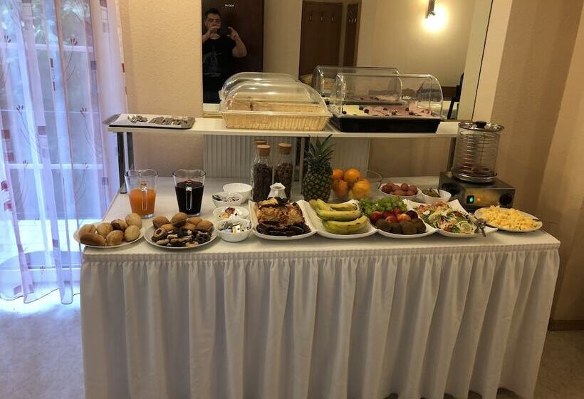 פנסיון Simona Hotel Frankfurt Airport