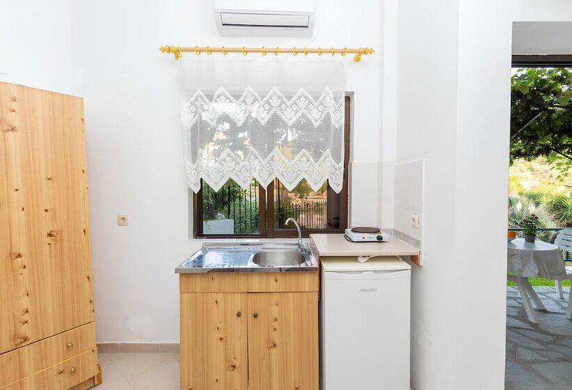 Pensjonat Skioni Studios