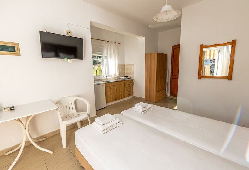 Pensjonat Skioni Studios