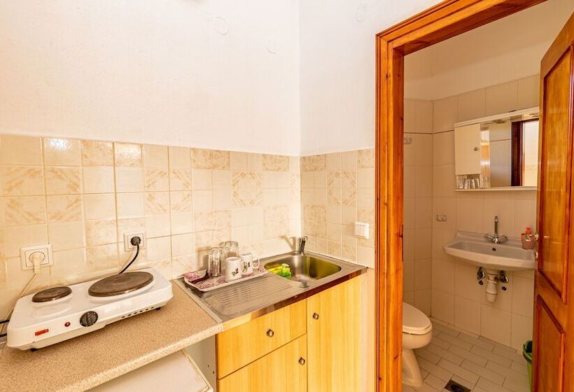 Pensjonat Skioni Studios