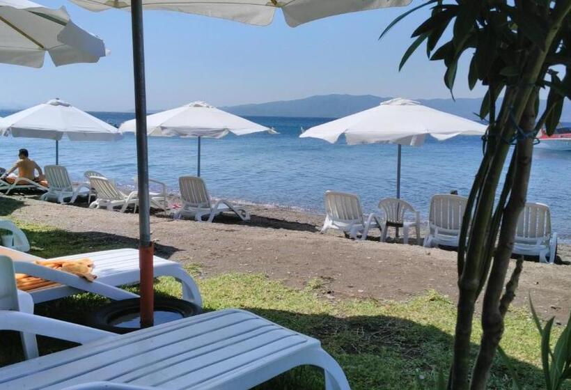 Posidonia Pension