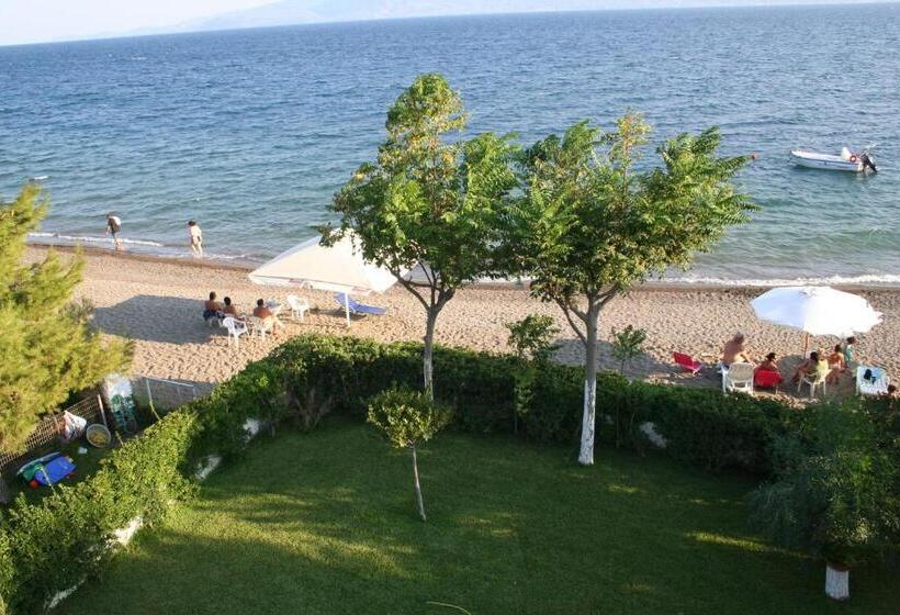 Posidonia Pension