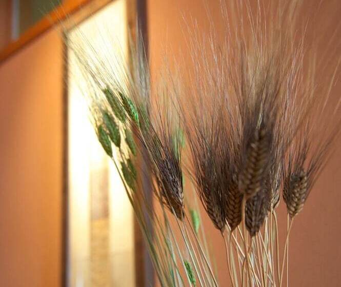 日式旅馆 Senoumi