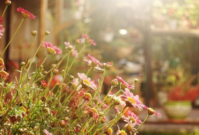 Hospedaje Venka Urubamba Hostel