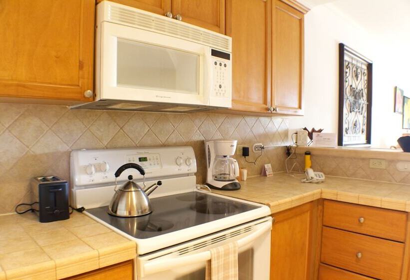 Cr Luxury Los Sueños Condos