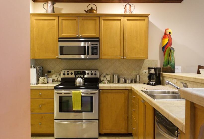 Cr Luxury Los Sueños Condos