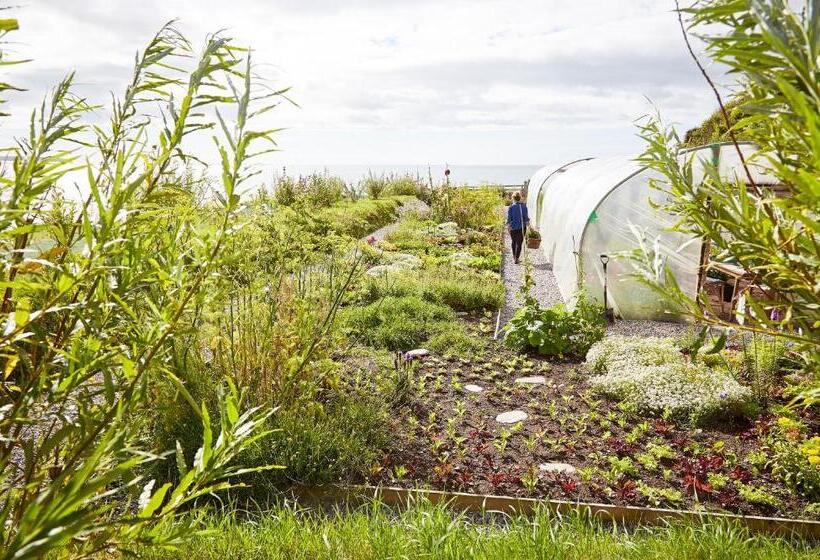 簡易ホテル Dunmore House