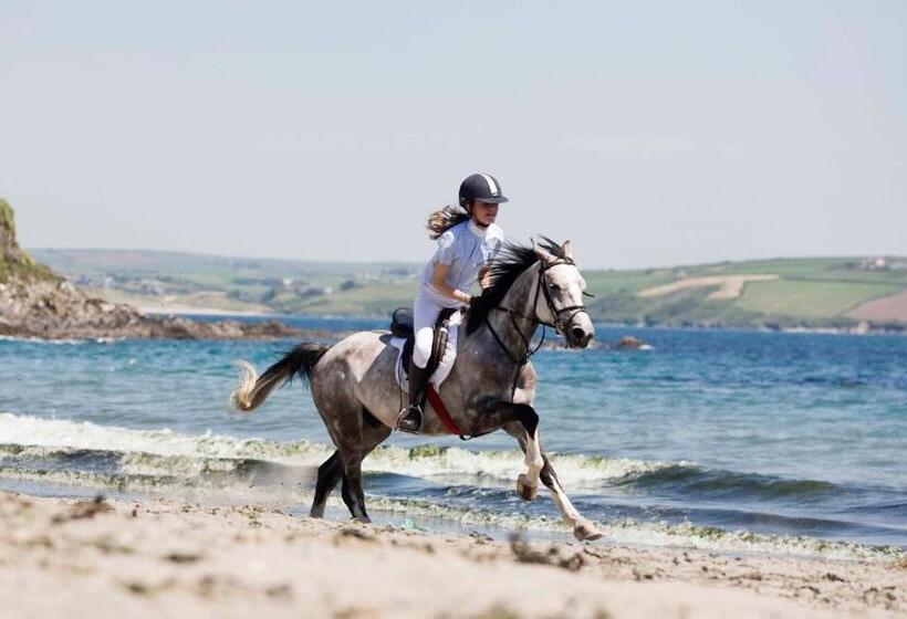 簡易ホテル Dunmore House