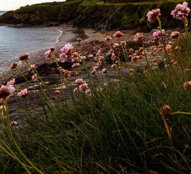 簡易ホテル Dunmore House