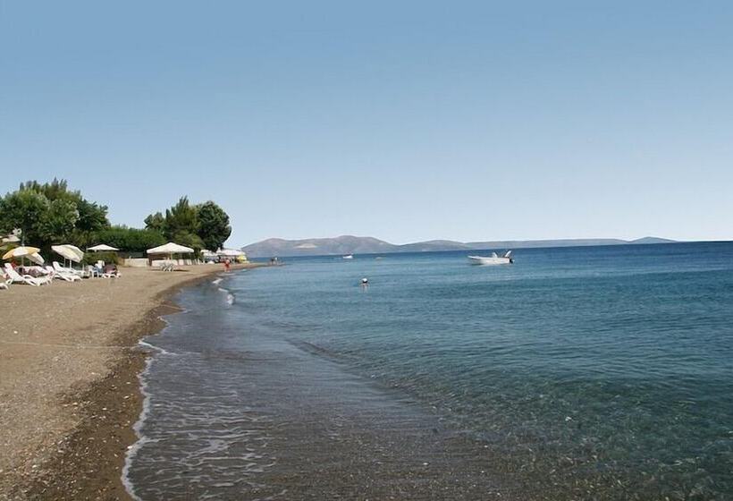 Отель Pansion Akrogiali