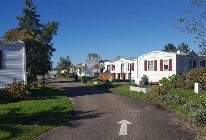 ホテル Casinhas Do Alentejano   Lands House Bungalows