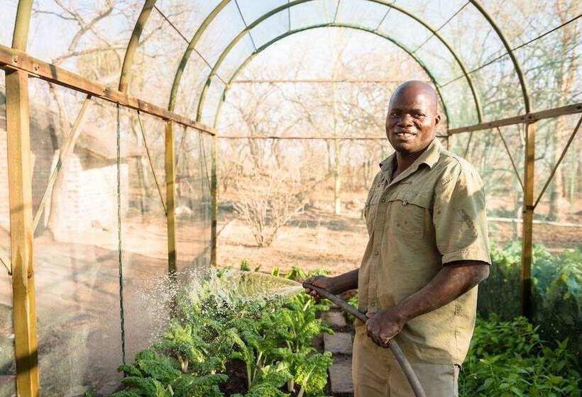 ホテル Bushwa Game Lodge