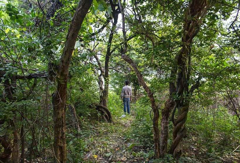 בית מלון כפרי Call Of The Wild