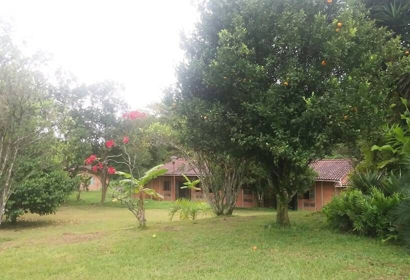 酒店 Cabañas Mega