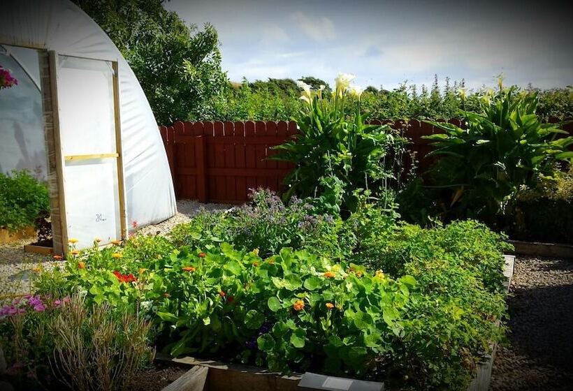 ホテル Castle Murray House Boutique B&b