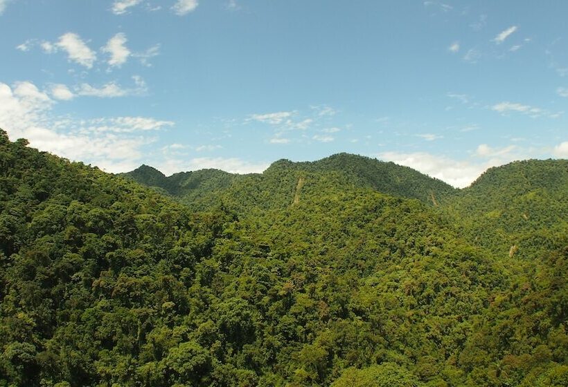 هتل Coffee Lodge Cristal Glamping & Spa