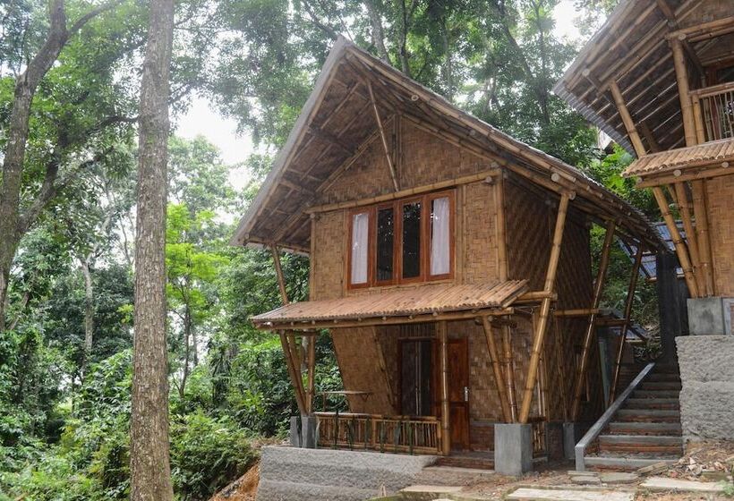 Отель Ecolodge Bukit Lawang