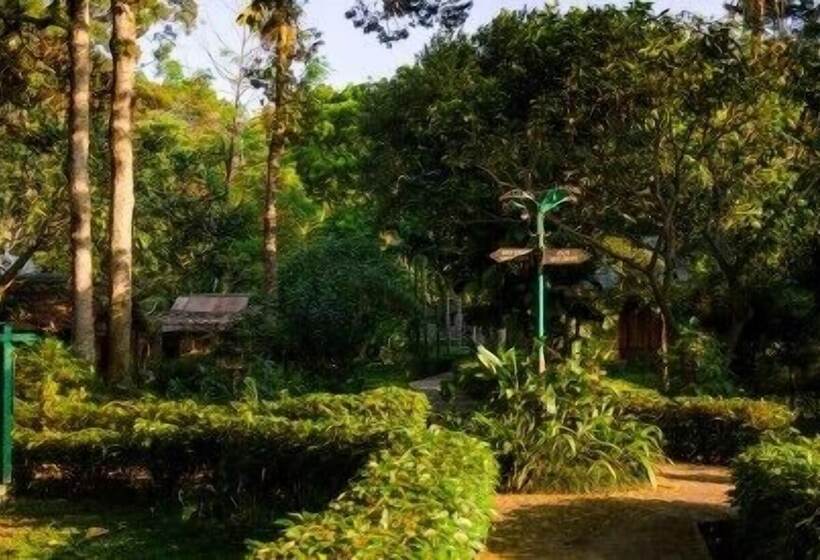 هتل Ecolodge Bukit Lawang