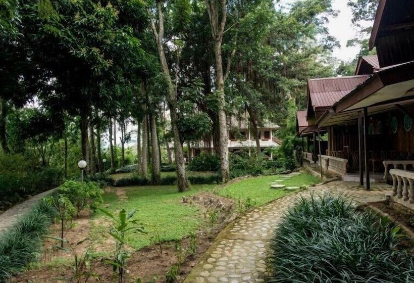 酒店 Ecolodge Bukit Lawang