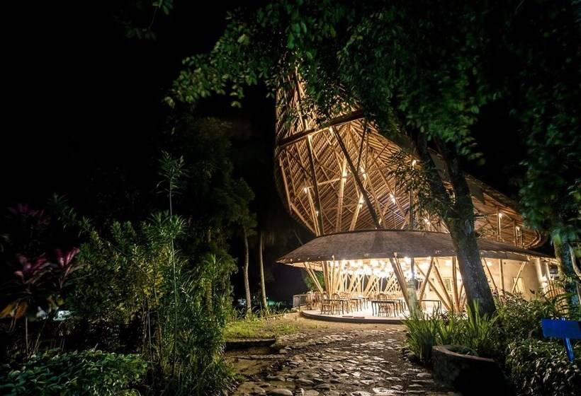 هتل Ecolodge Bukit Lawang