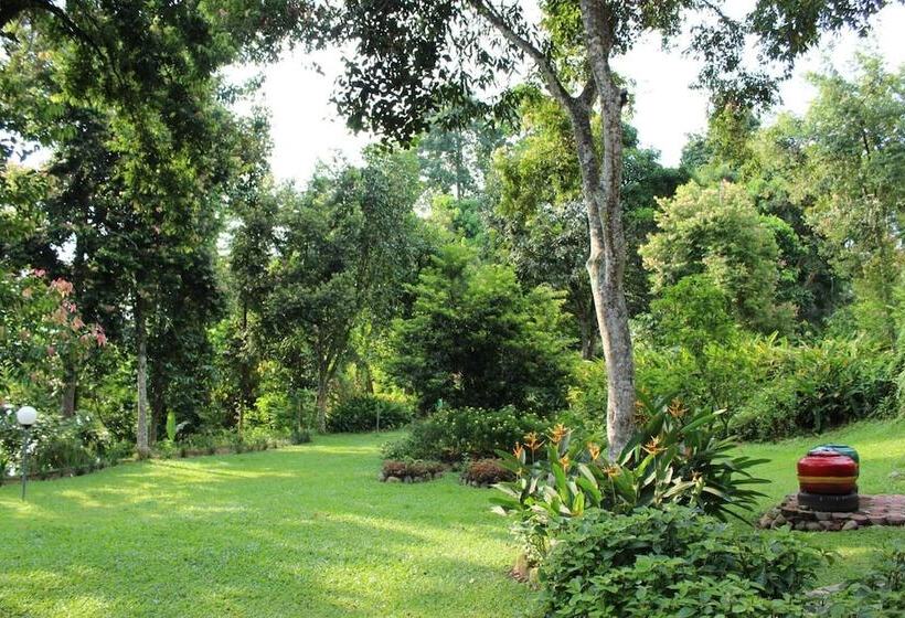 酒店 Ecolodge Bukit Lawang