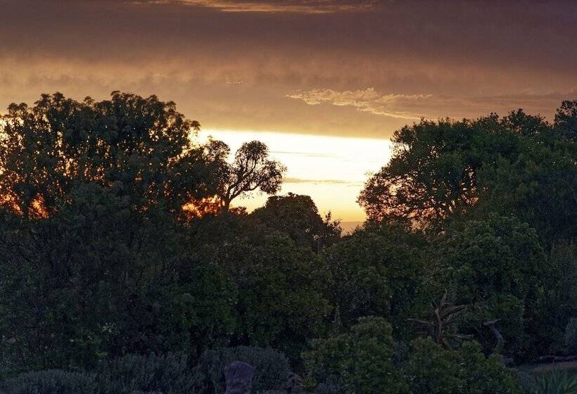 ホテル Elephants Lodge   Bellevue Forest Reserve