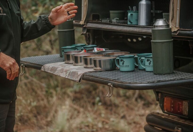 酒店 Matingwe Lodge