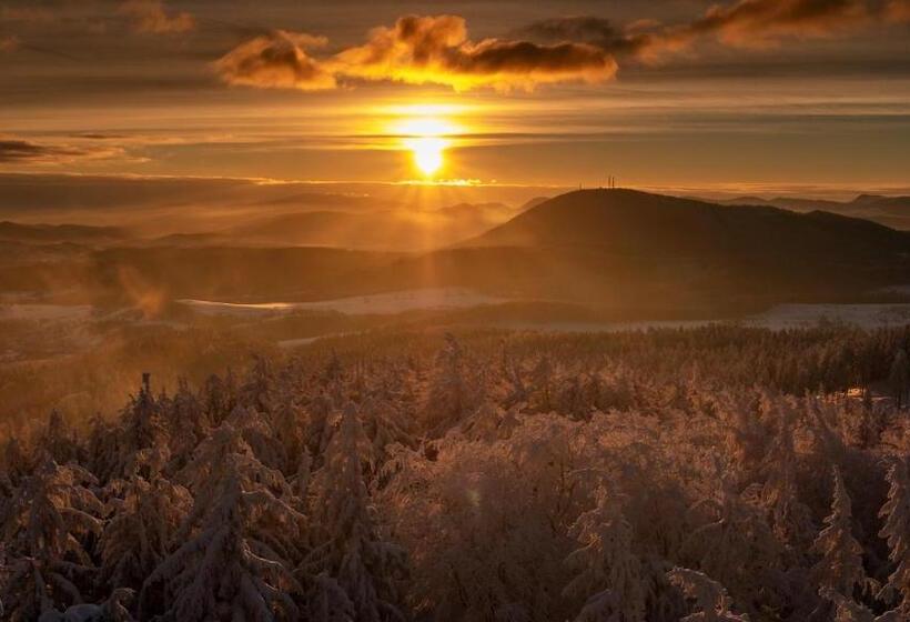 ホテル Piotr Spa & Wellness