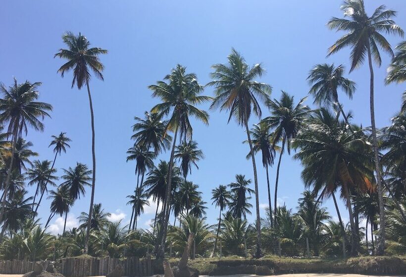 호텔 Pousada Aroeira Eco