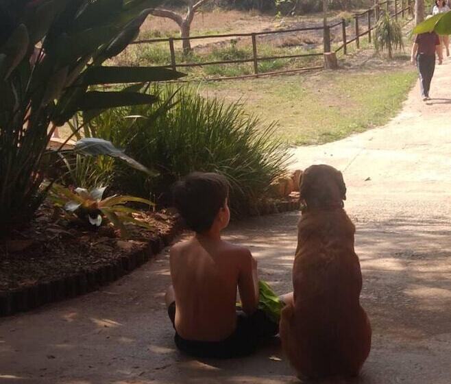 酒店 Pousada Passaredo