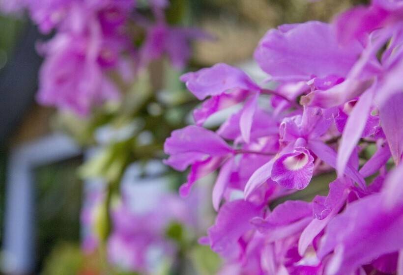 Отель Rancho De Lelo Ecolodge