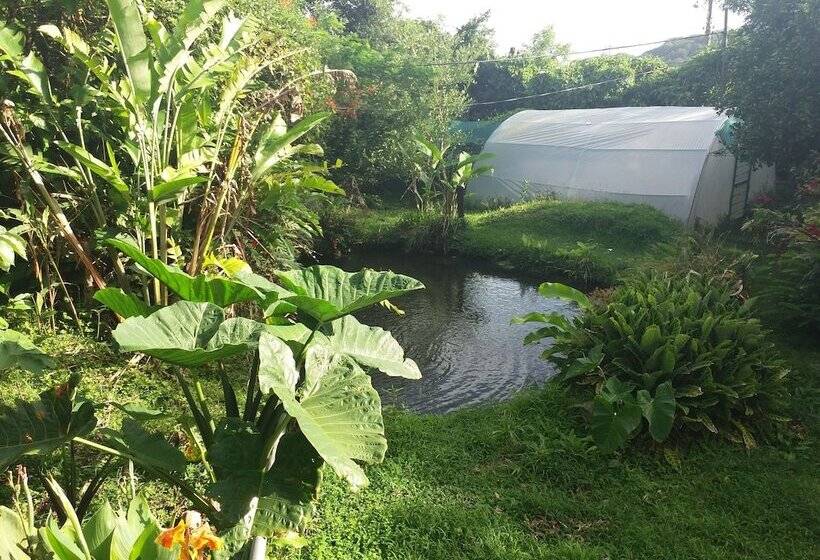 Отель Rancho De Lelo Ecolodge