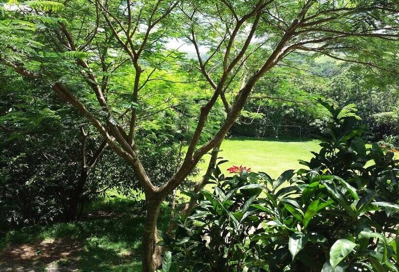 Отель Rancho De Lelo Ecolodge