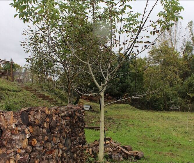 Kedros Holiday Villas