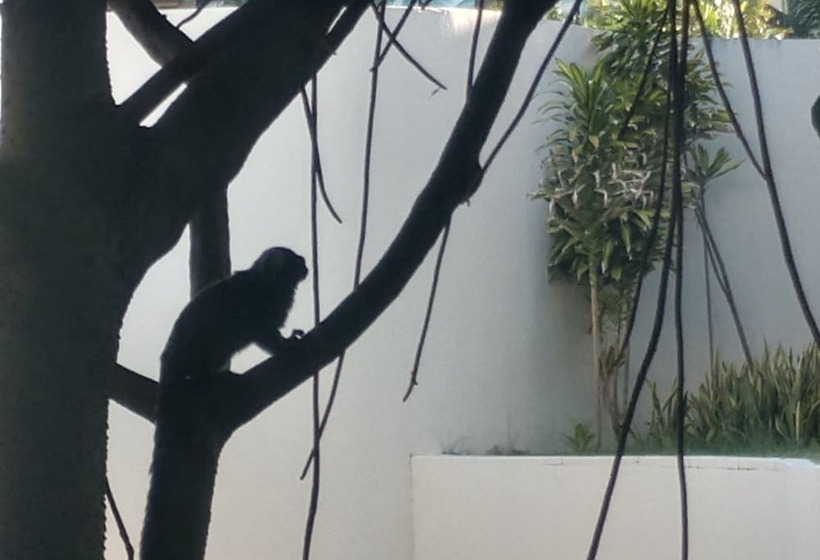 Marulhos Resort Studios Para Temporada