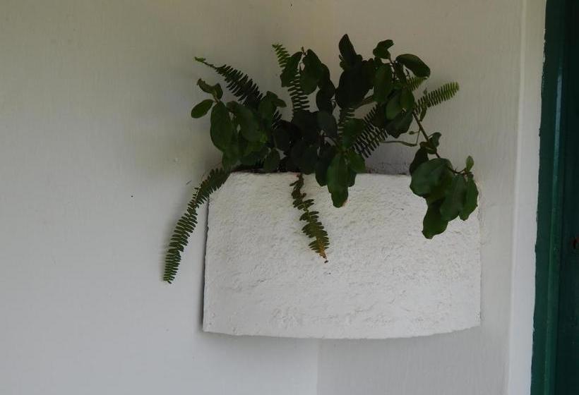 Matjiesvlei Guestfarm