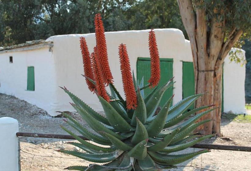 Matjiesvlei Guestfarm