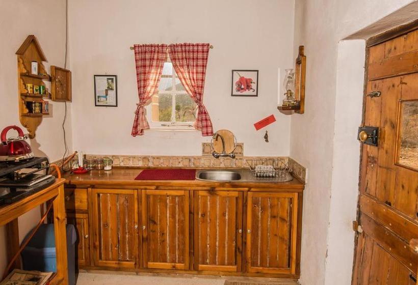 Matjiesvlei Guestfarm