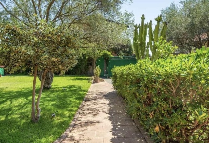 Ottomood B&b And Apartments