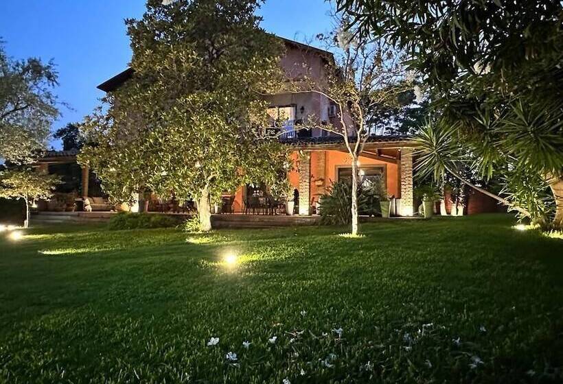 Ottomood B&b And Apartments